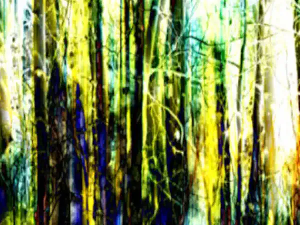 forest-mary-hall-art