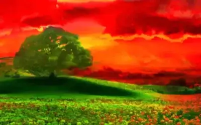 How Evergreen Content Matures