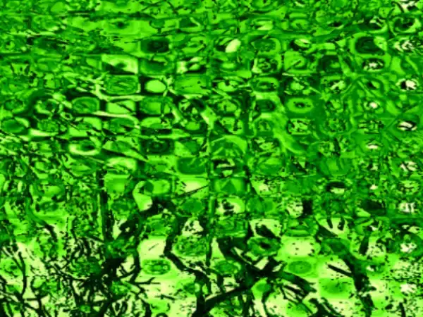 organic-mary-hall-art