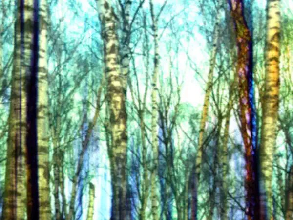 mary-hall-art