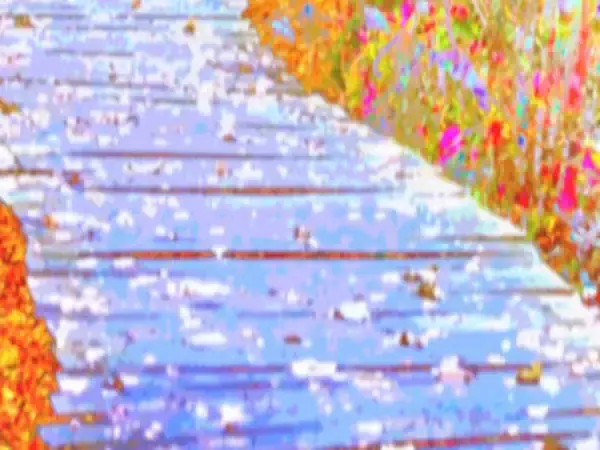 path-mary-hall-art