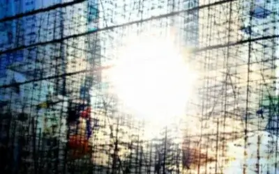 Machine-Readable Structure vs. Human-Readable Structure