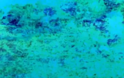 AI in Website Optimization: Practical Uses, Limits, and Human Oversight