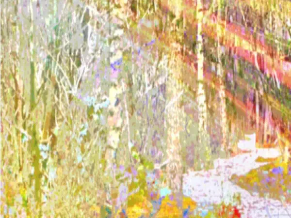 vector-light-mary-hall-art